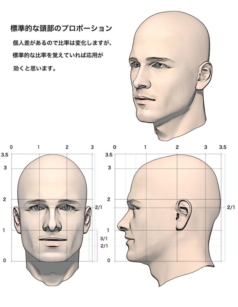 人物デッサンで目や顔の描き方は 初心者の本や動画のまとめは ハポネコのart Life Create